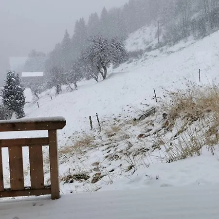 Dağ evi Luxe A Proximite De Morzine Avec Jacuzzi La Cote d'Arbroz